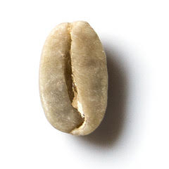 El Salvador